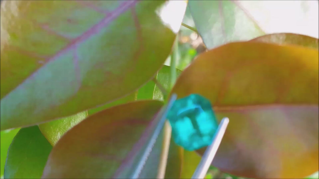 Loose emeralds for sale