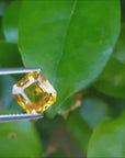 Assher cut yellow sapphire
