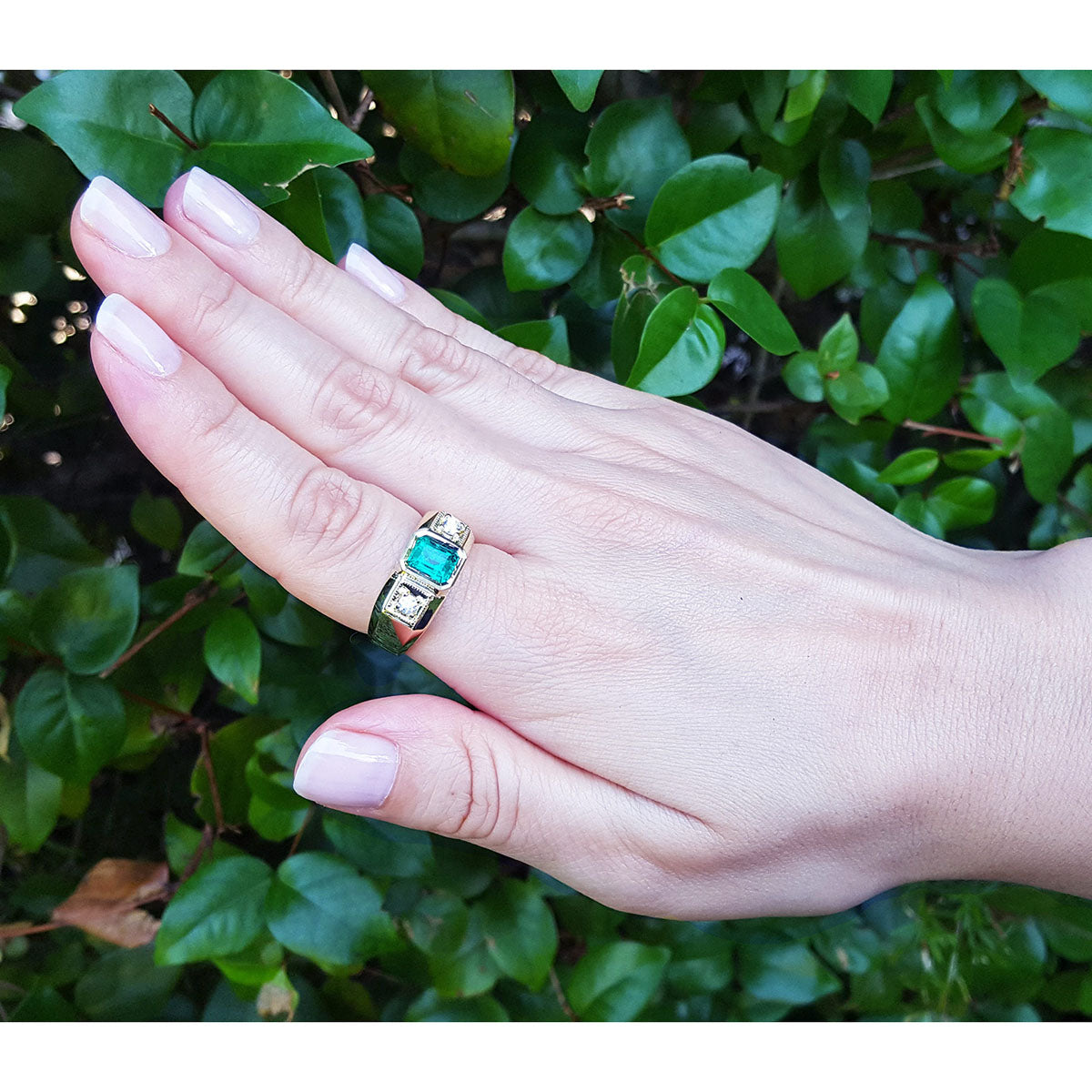 Hand wearing a gold mens ring with a real colombian emerald against a green leafy background.