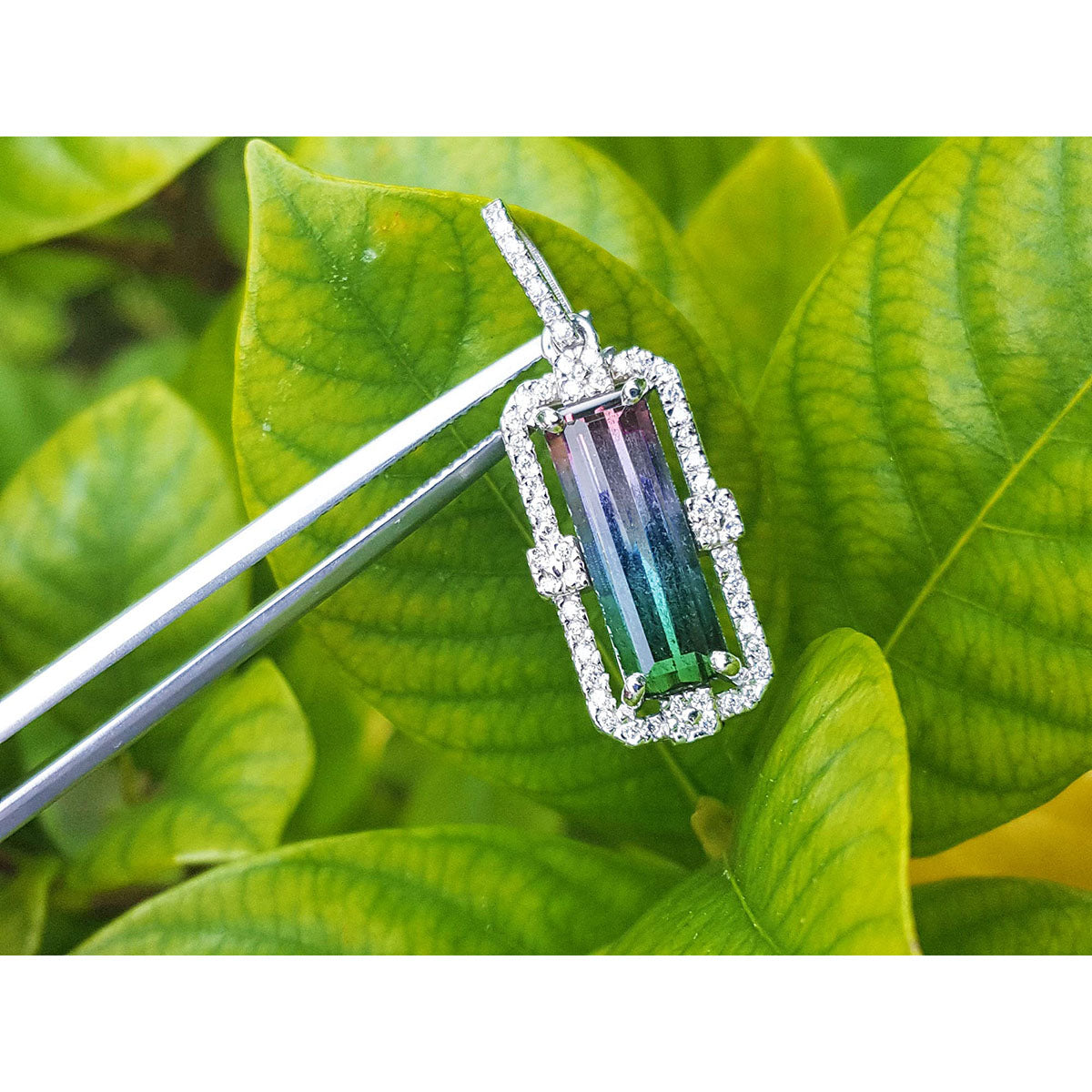 Jewelry pendant with a bicolor tourmaline gemstone on a green leaf background.