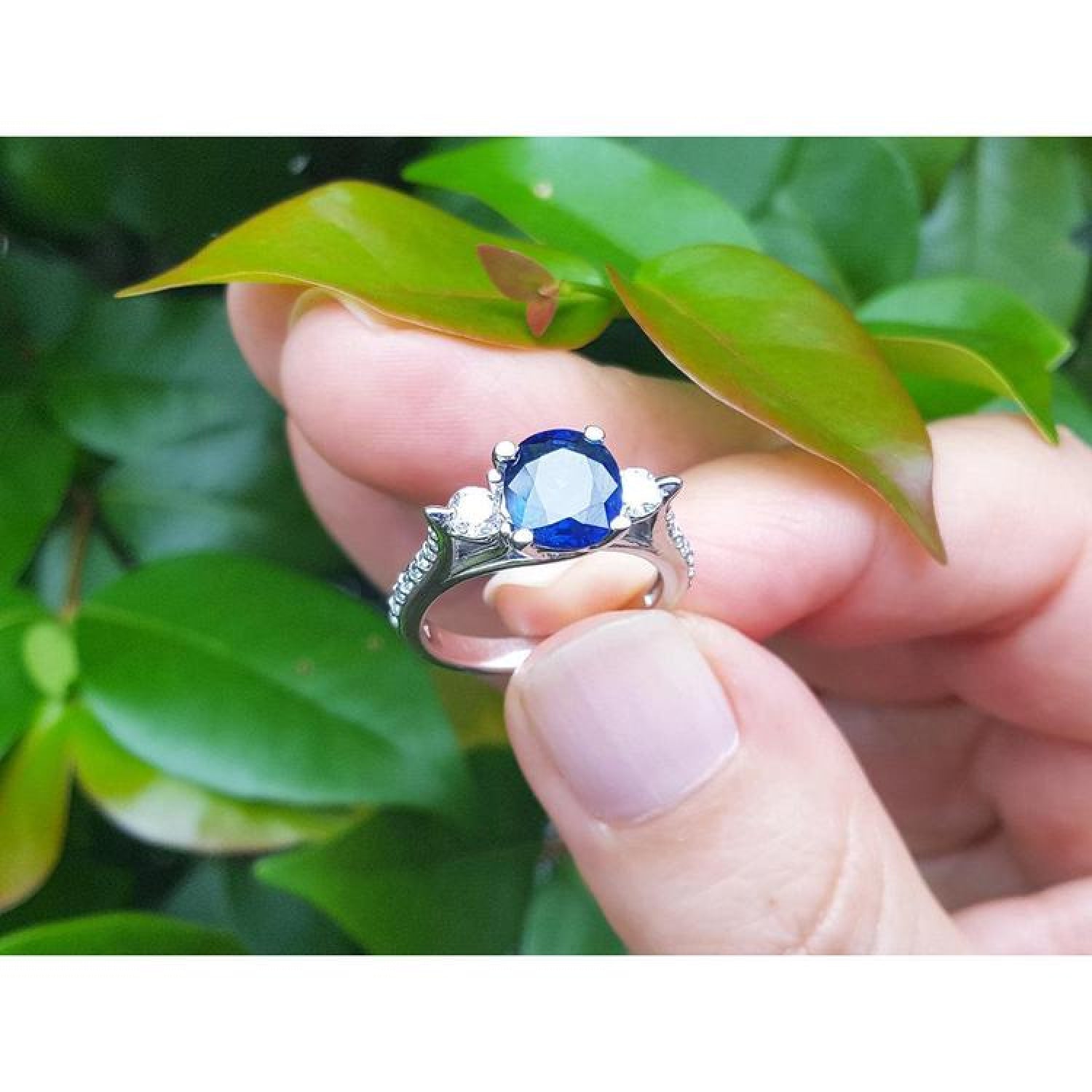 14K white gold ring with a deep blue oval sapphire and two side diamonds, held against green leaves.