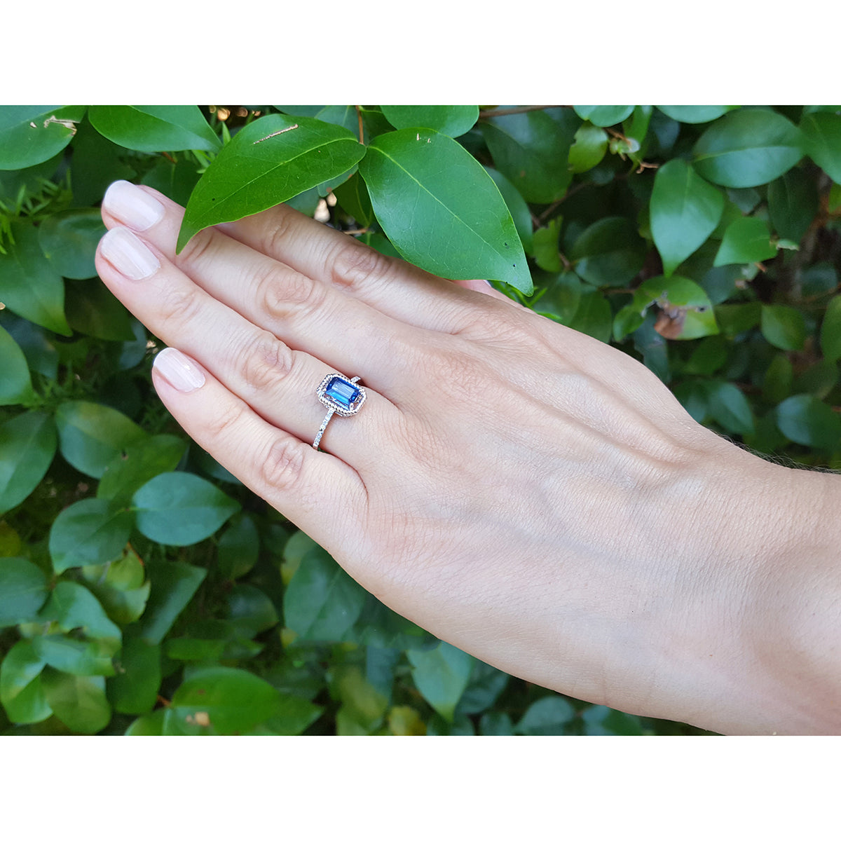 Hand wearing a 14k white gold ring with a blue natural sapphire against a green leafy background