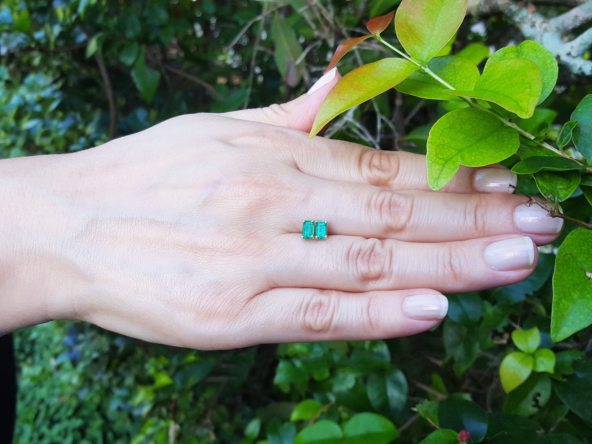 Hand displaying a yellow gold emerald solitaire stud earrings with a natural background of green leaves