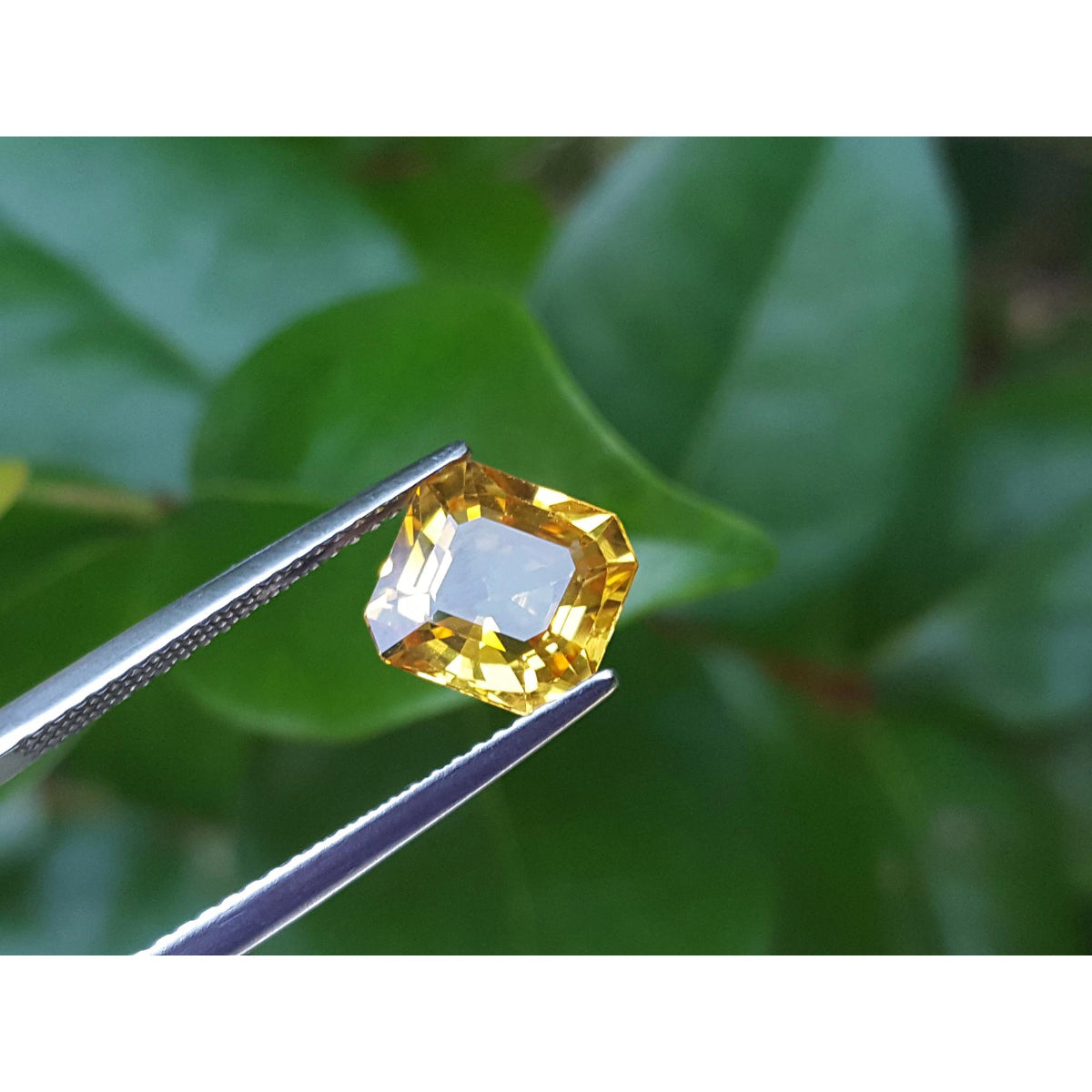 2.90 Carats Asscher cut Loose Yellow Sapphire Natural Gemstone