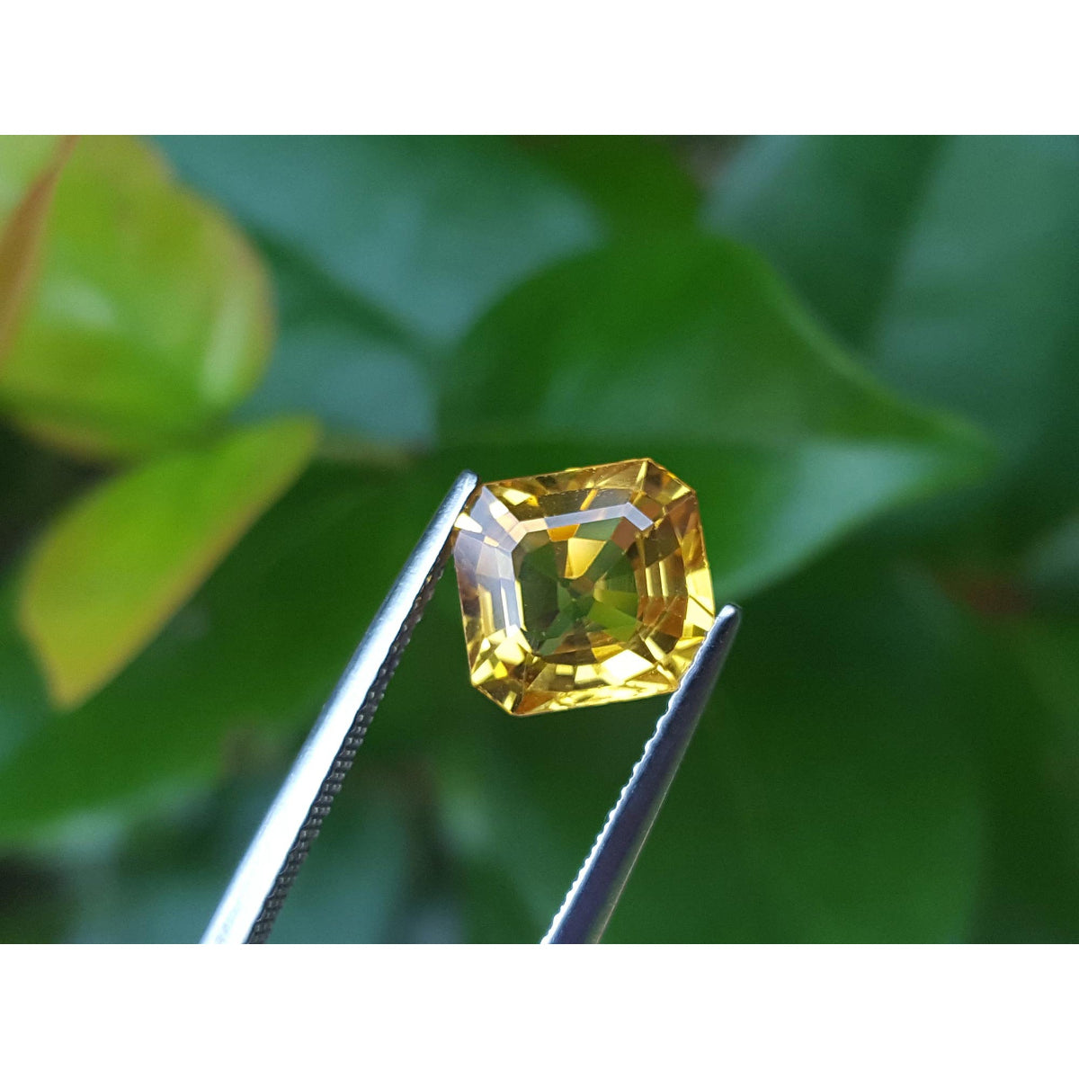 2.90 Carats Asscher cut Loose Yellow Sapphire Natural Gemstone
