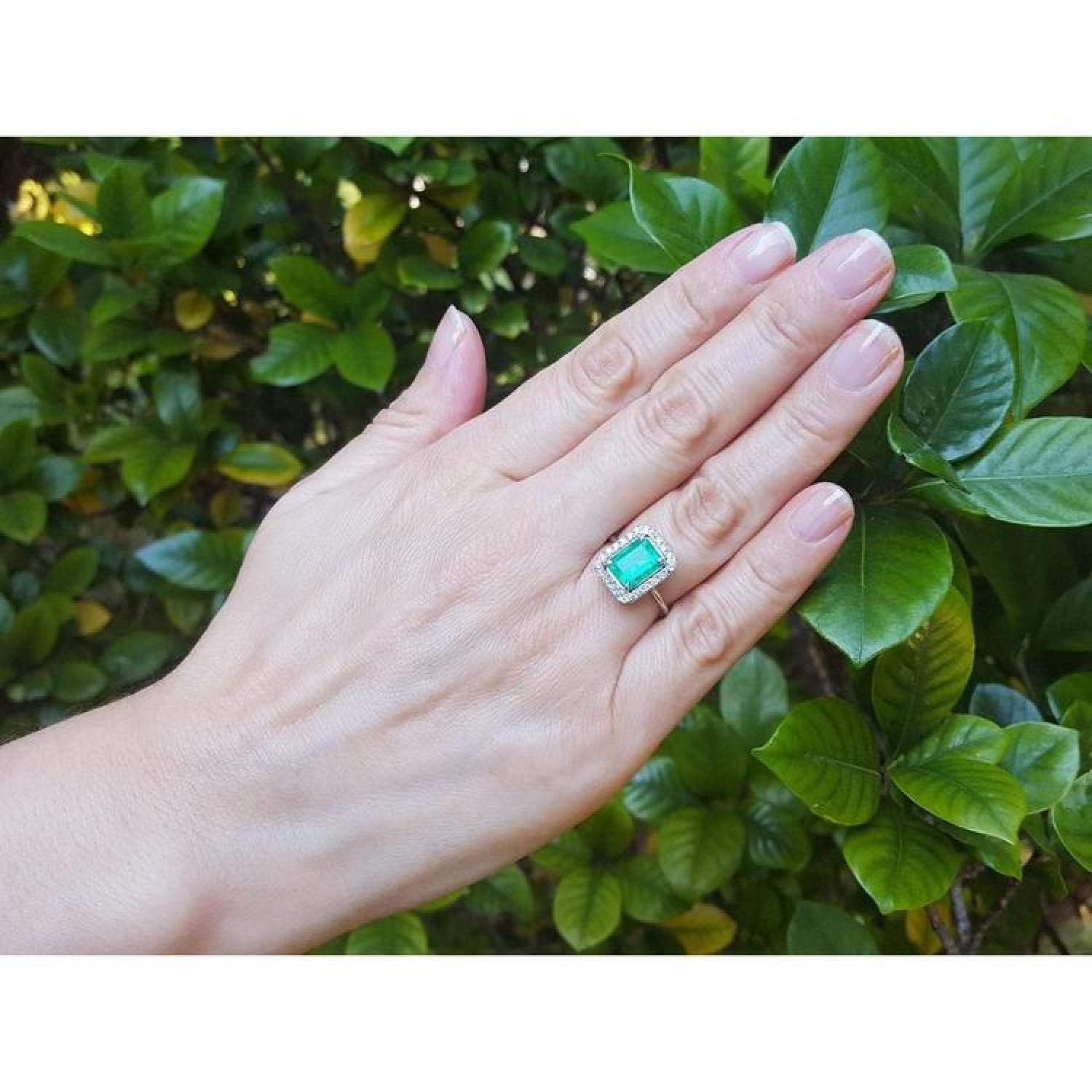 Emerald-cut bluish-green emerald ring with halo diamonds in 14K white gold on a hand.