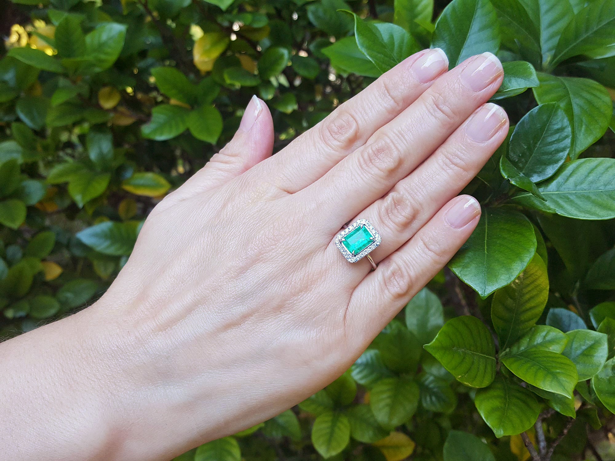 Hand wearing an emerald ring with a green gemstone against a green leafy background.