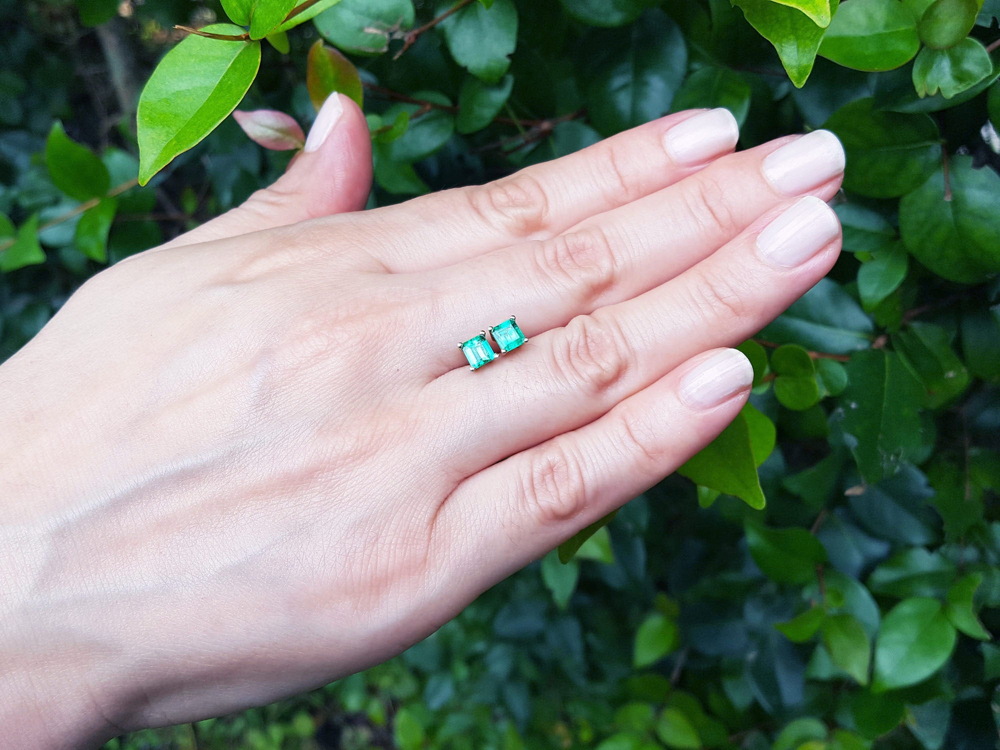 Hand displaying a square Colombian emerald stud earrings against a green leafy background.