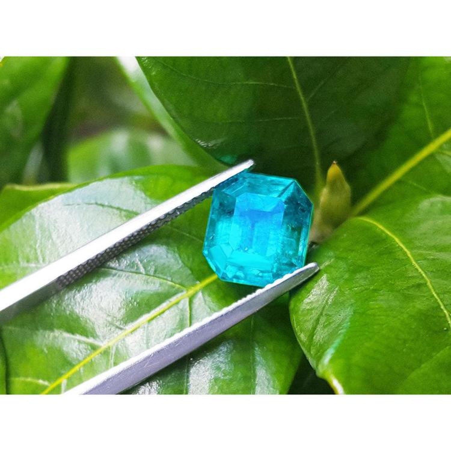 3.17 ct. GIA certified natural loose Colombian emerald held by tweezers on green leaves.