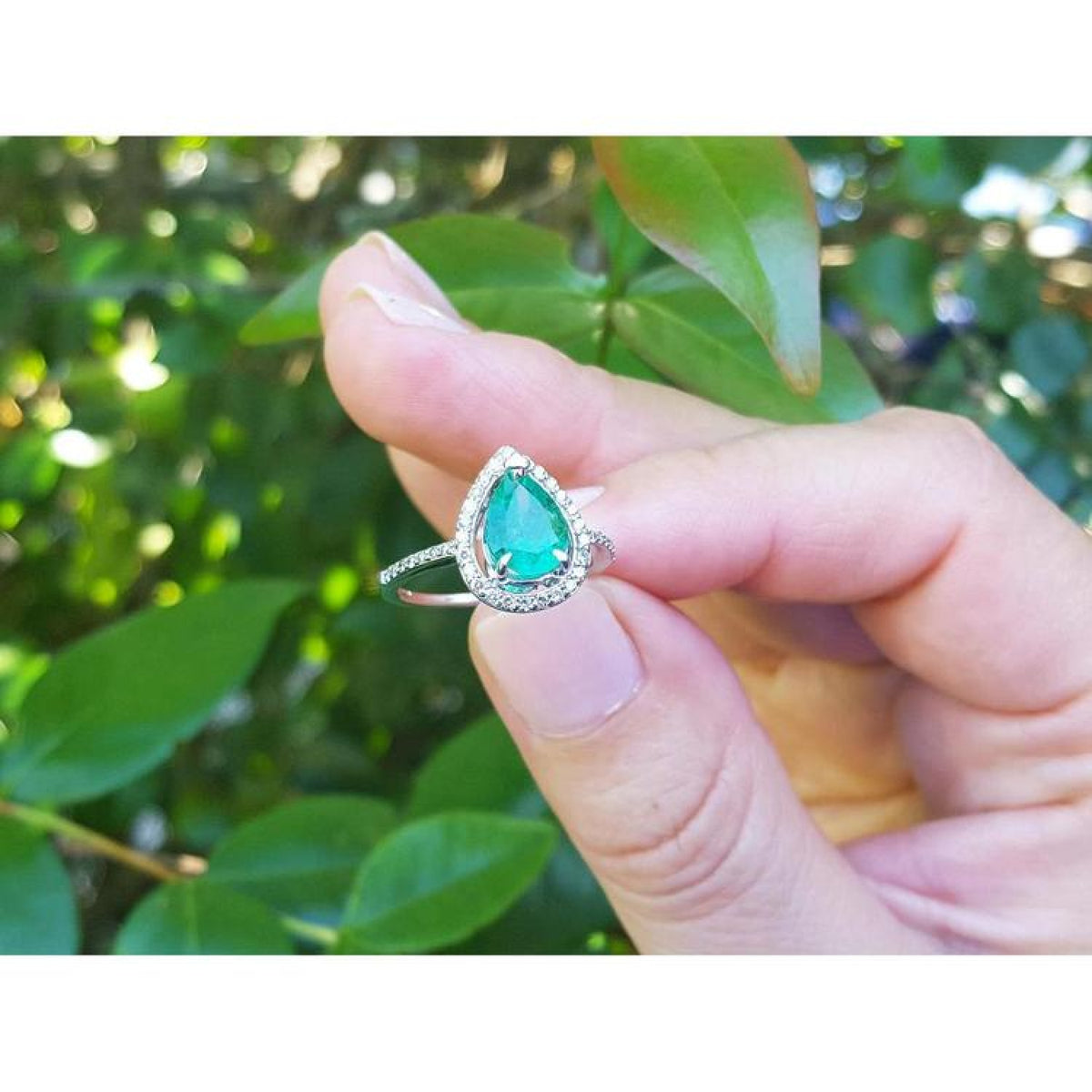 14K white gold teardrop emerald ring with diamond halo, held against a leafy background.