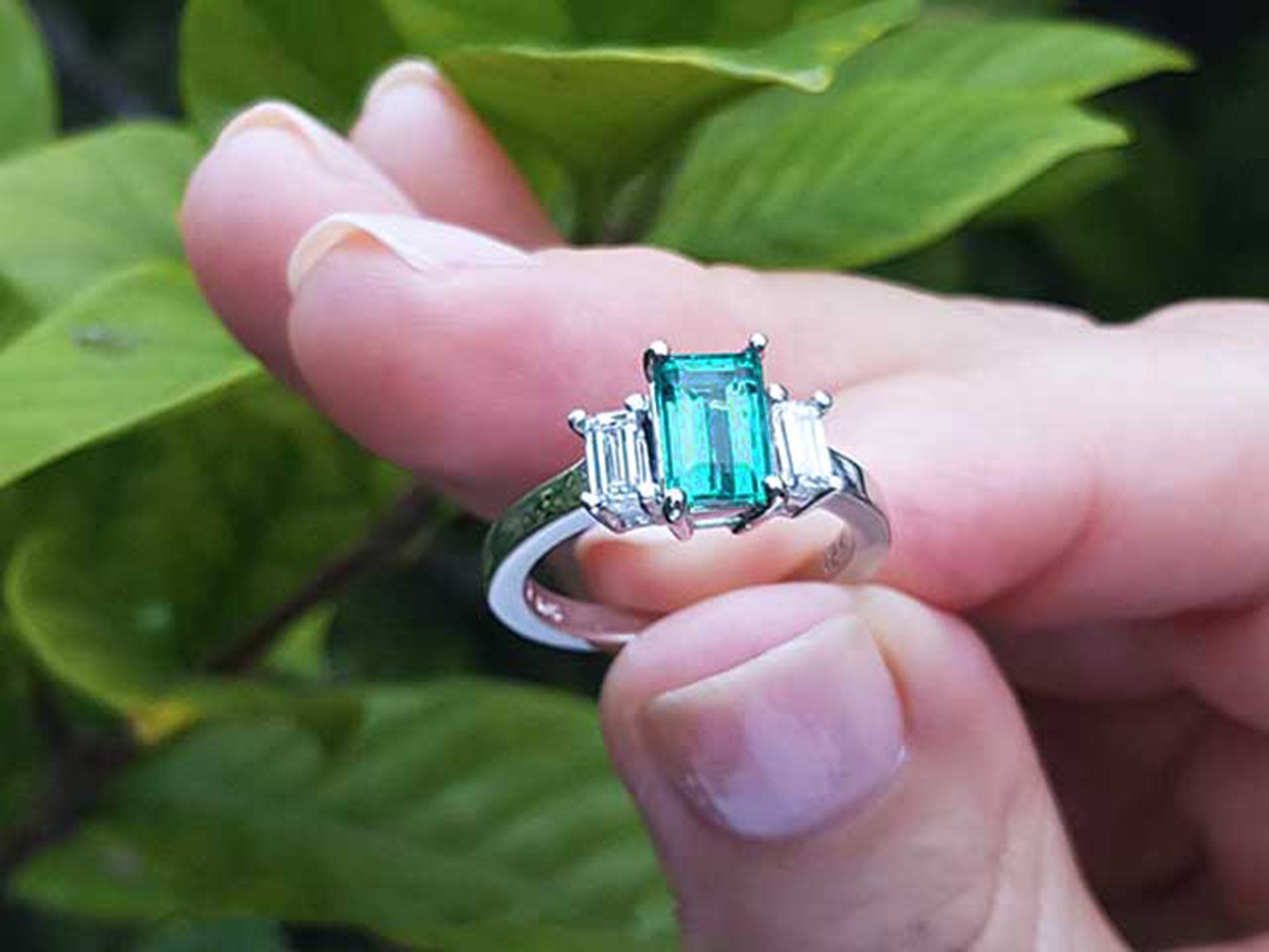 A natural three stone emerald ring for women held in a hand against a green leafy background.