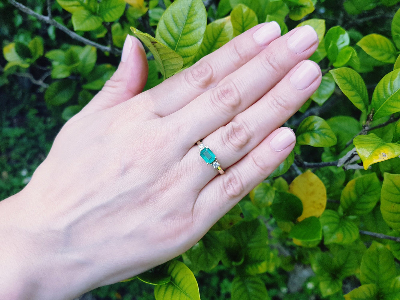 Hand wearing a colombian emerald ring against a green leafy background