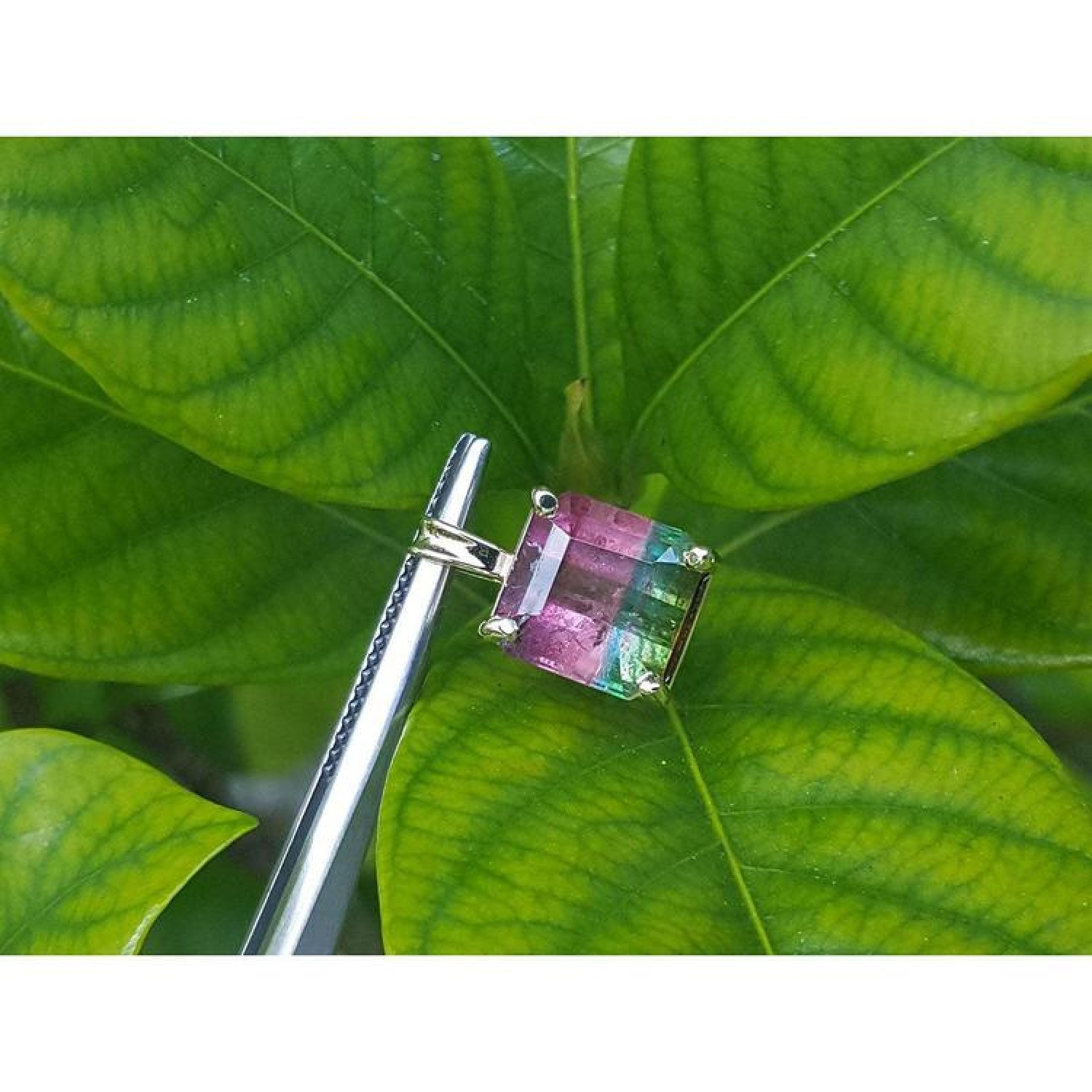 4.01 ct Brazilian bicolor tourmaline watermelon solitaire pendant in 14K yellow gold, prong set.