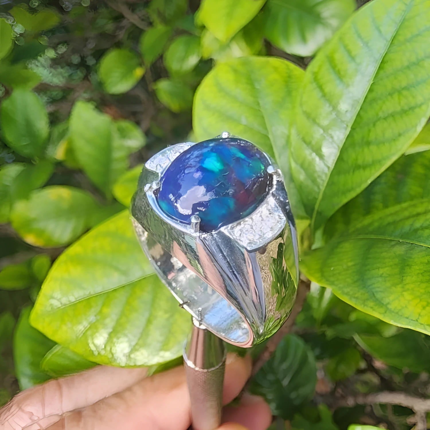 Men's sterling silver ring with a sparkling blue Welo black opal, accented by red and green flashes.