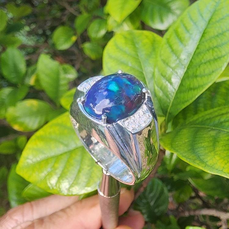 Sterling silver ring for men with a colorful black opal held against green leaves