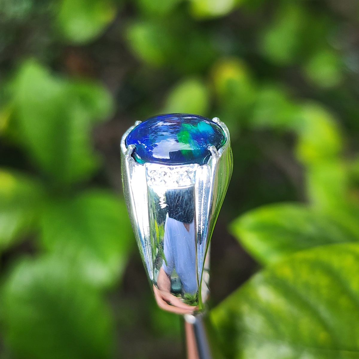 A genuine Ethiopian black opal silver ring for men against a green leafy background