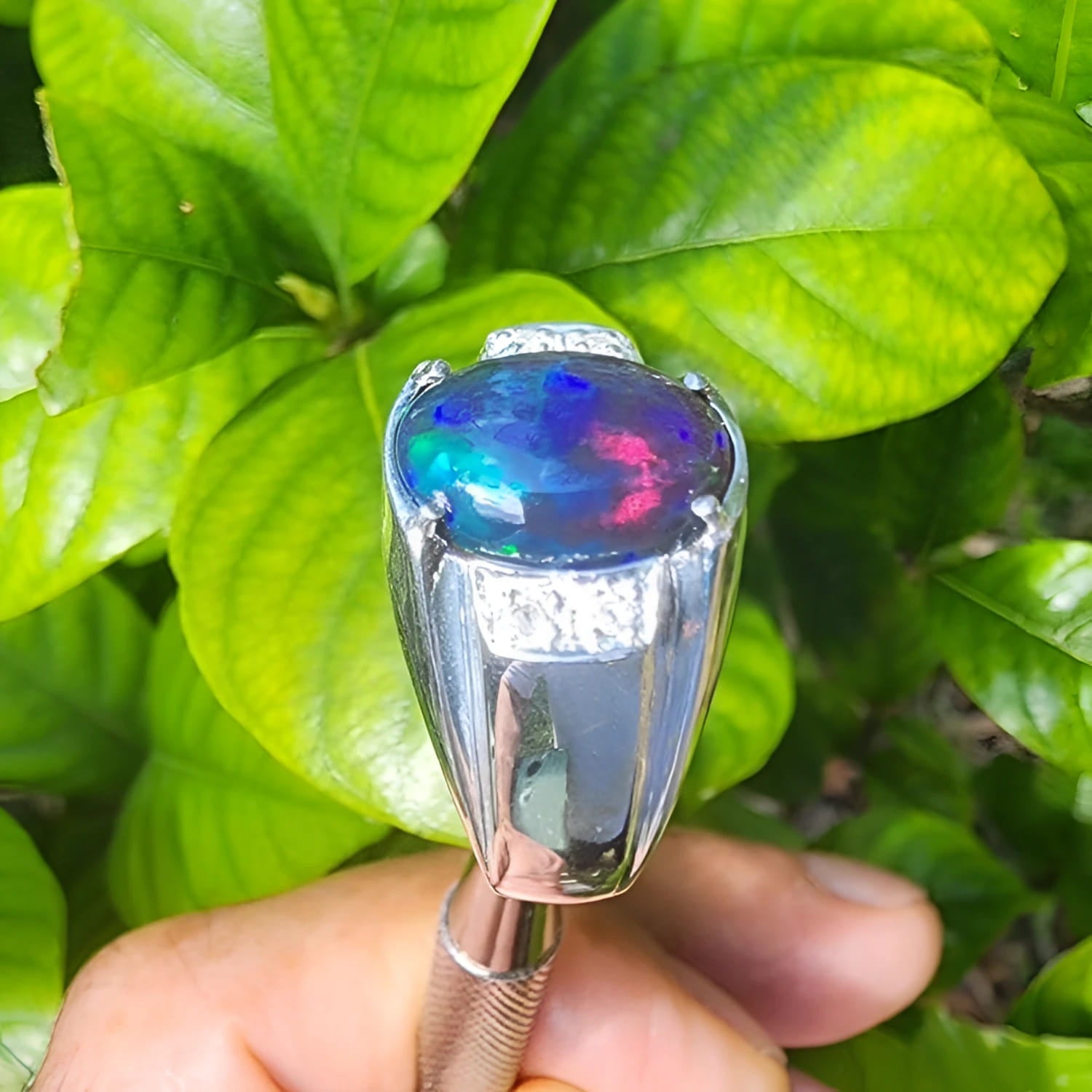 Men's sterling silver ring with a sparkling blue, red, and green Welo black opal.