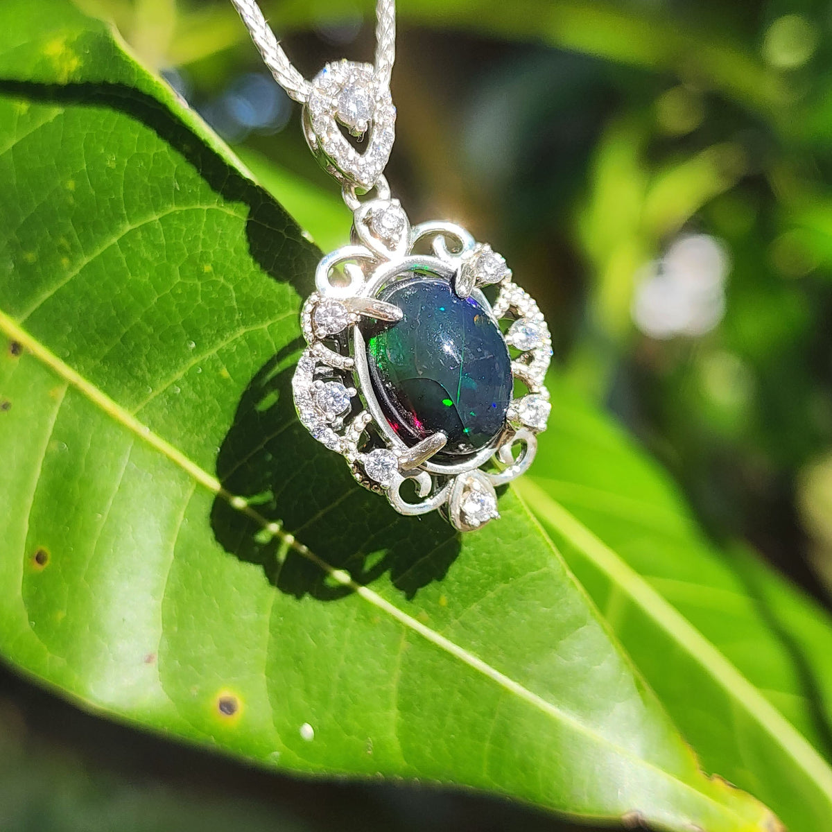 Opal pendant with silver frame on a green leaf