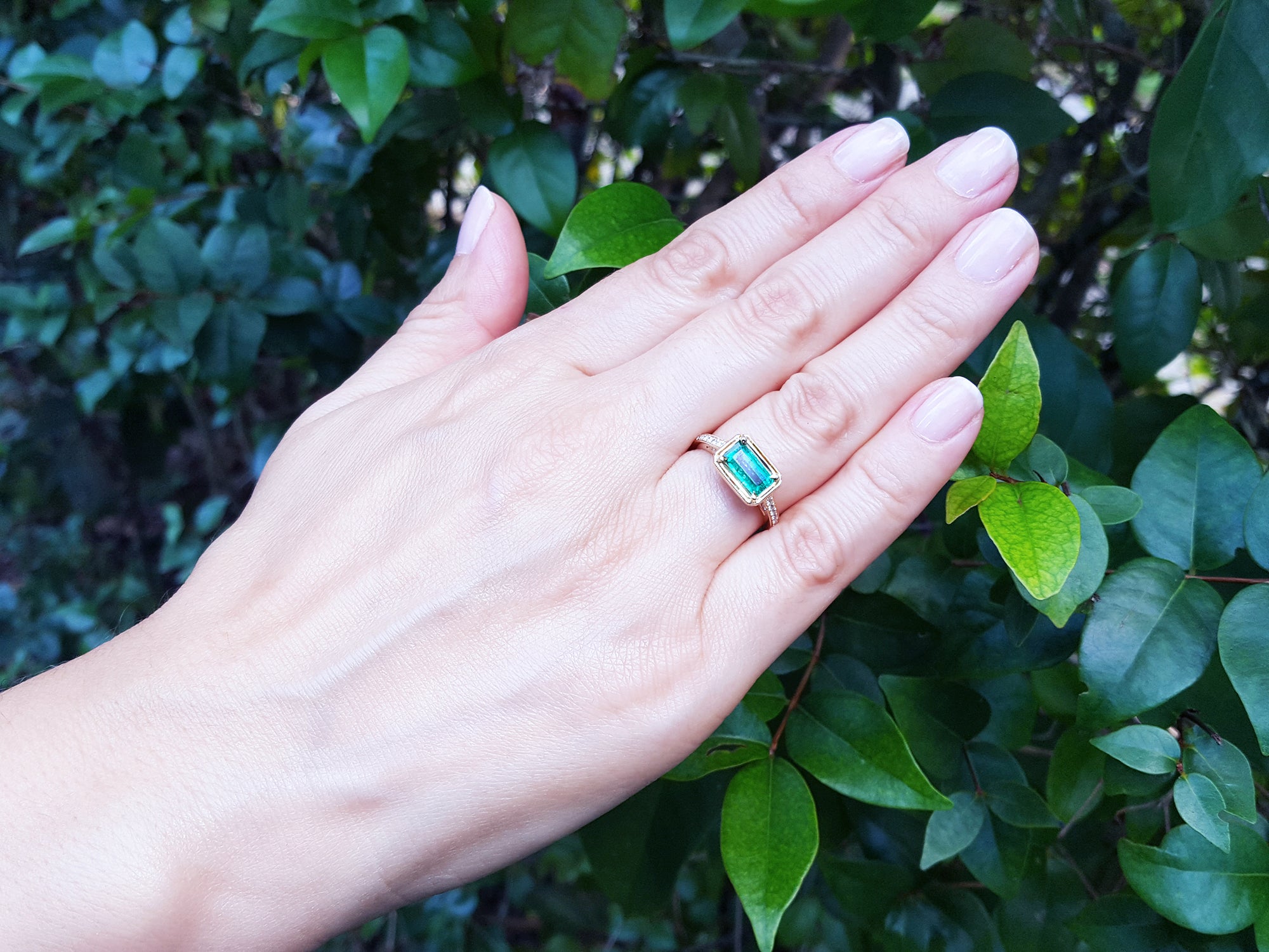 A hand&#39;s person wearing a natural colombian emerald ring on a green leafy background.