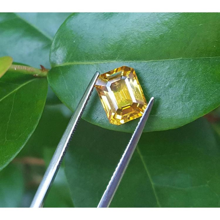 3.75 ct. vivid yellow emerald-cut sapphire held by tweezers against green leaves.